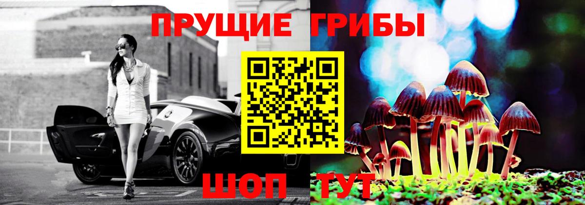 Азнакаево  Псилоцибиновые грибы Cubensis  Вход с VPN 